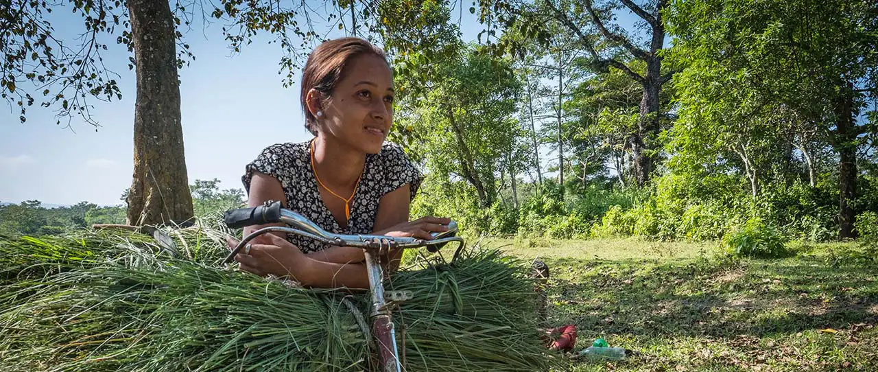 November 2017. Community members are allowed to collect grass in the edges of the Kumrose Community Forest. Kumrose, Nepal. Photograph by Jason Houston for USAID