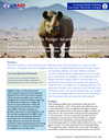 Case Study: Conservancy Rhino Ranger Incentive Program in Namibia