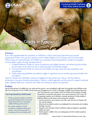 Case Study: Space for Giants in Kenya