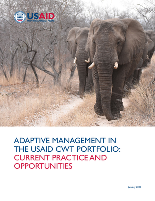 Adaptive Management in the USAID CWT Portfolio: Current Practice and Opportunities