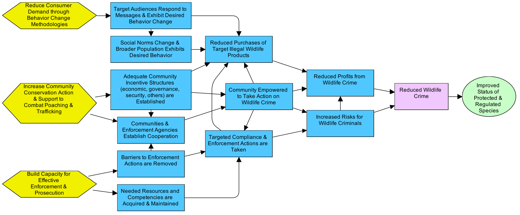 Detailed Theory of Change — Combating Wildlife Trafficking ...