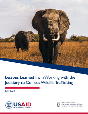 Lessons Learned from Working with the Judiciary to Combat Wildlife Trafficking