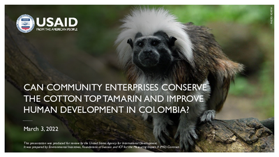 Webinar Slides: Can Enterprises Conserve the Cotton Top Tamarin and Improve Human Development in Colombia?