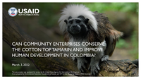The cotton-top tamarin (Saguinus oedipus) is a critically endangered primate species found only in the tropical dry forests of northern Colombia. Webinar posted in Combating Wildlife Trafficking.