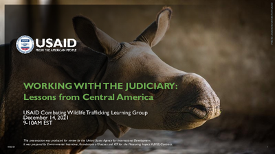 Webinar Presentation: Working with the Judiciary – Lessons from Central America