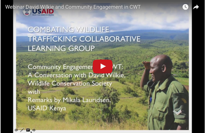 Webinar Recording: David Wilkie and Community Engagement in CWT