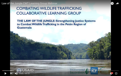 Webinar Recording: Law of the Jungle: CWT Enforcement Capacity Building in Guatemala