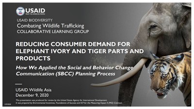 Webinar Recording: Reducing Consumer Demand for Elephant Ivory and Tiger Parts and Products