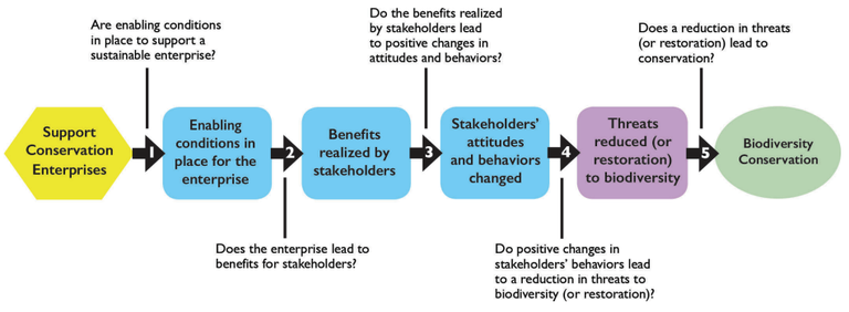 CE Theory of Change