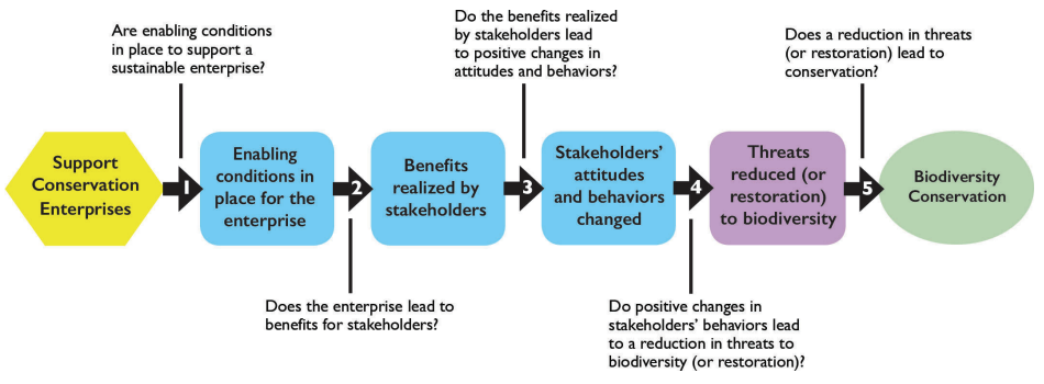 CE Theory of Change