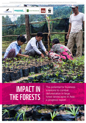 Impact in the Forest: The Potential for Business Solutions to Combat Deforestation in Large Forest Landscapes in Asia