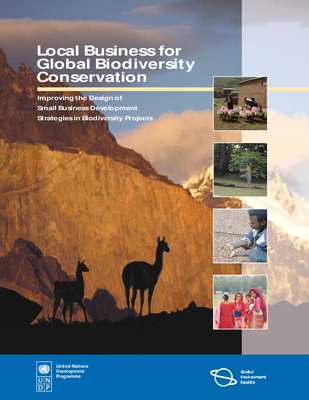 Local Business for Global Biodiversity Conservation: Improving the Design of Small Business Development Strategies in Biodiversity Projects