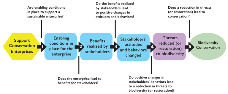 Conservation Enterprise Theory of Change