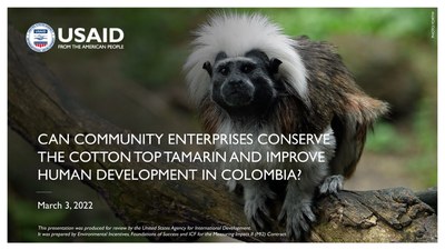 Webinar: Can Enterprises Conserve the Cotton Top Tamarin and Improve Human Development in Colombia?