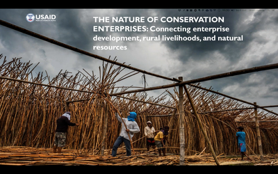 Webinar: The Nature of Conservation Enterprises: a 20 year retrospective evaluation