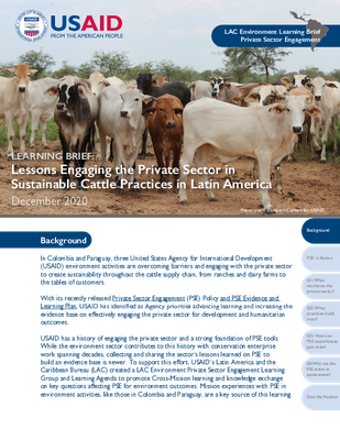 Learning Brief: Lessons Engaging the Private Sector in Sustainable Cattle Practices in Latin America