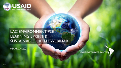 Lessons from Engaging the Private Sector in Sustainable Cattle Practices: A LAC Environment Learning Series Webinar | Slide Deck
