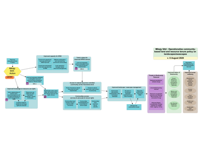 Madagascar Mikajy: Operationalize Community-Based Land and Resource Tenure Policy Results Chain