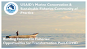 Webinar Presentation—Building Forward in Fisheries: Opportunities for Transformation Post-COVID