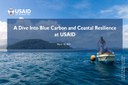 Webinar - A Dive Into Blue Carbon and Coastal Resilience at USAID