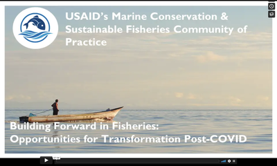 Webinar Recording - Building Forward in Fisheries: Opportunities for Transformation Post-COVID