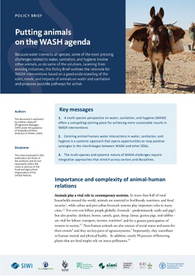 Putting Animals on the WASH Agenda - Policy Brief