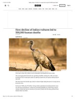 How Decline of Indian Vultures Led to 500,000 Human Deaths