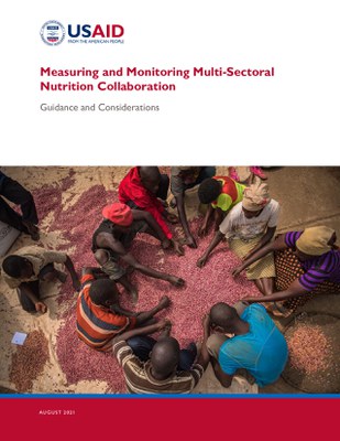 Measuring and Monitoring Multi-Sectoral Nutrition Collaboration: Guidance and Considerations