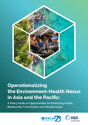Operationalizing the Environment Health Nexus in Asia and the Pacific: A Policy Guide on Opportunities for Enhancing Health, Biodiversity, Food System and Climate Action
