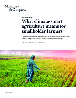 What Climate-Smart Agriculture Means for Smallholder Farmers
