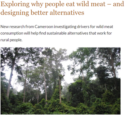 Exploring why people eat wild meat – and designing better alternatives