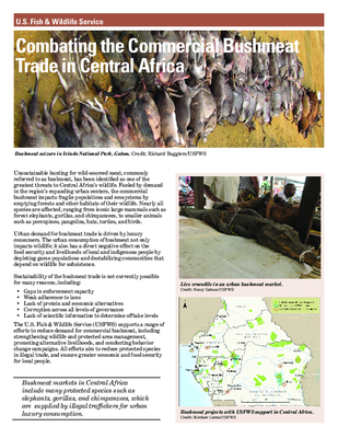 Combating the Commercial Bushmeat Trade in Central Africa