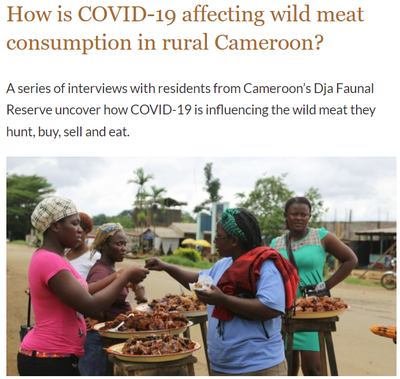 How is COVID-19 affecting wild meat consumption in rural Cameroon?