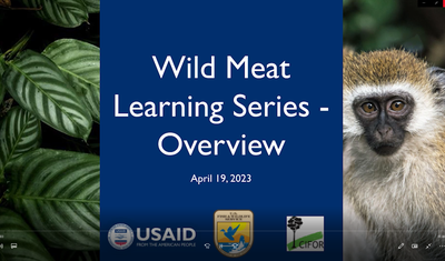 Webinar 1: Wild Meat Learning Series Overview