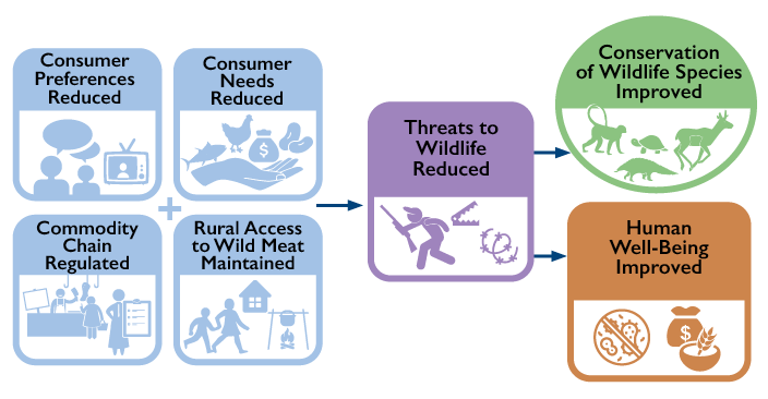 Wild Meat Theory of Change Graphic