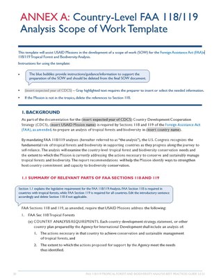 ANNEX A: Country-Level FAA 118/119 Analysis Scope of Work Template