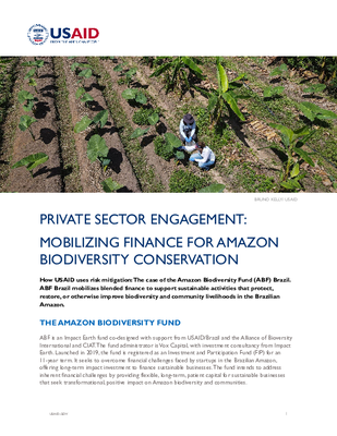 Private Sector Engagement: Mobilizing Finance for Amazon Biodiversity Conservation