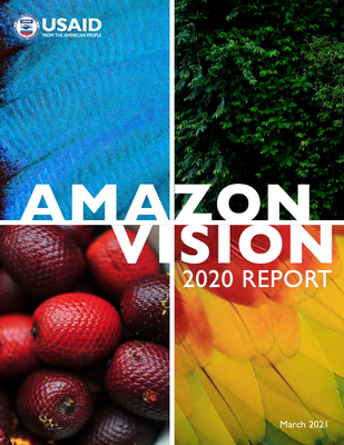 Amazon Vision 2020 Report
