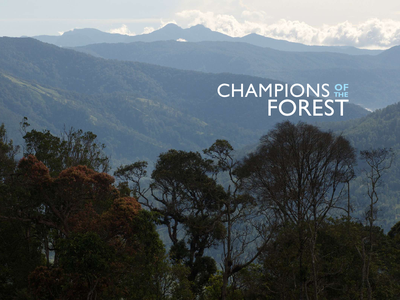 Champions of the Forest