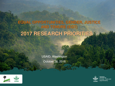 Equal Opportunities, Gender, Justice, and Tenure: 2017 Research Opportunities