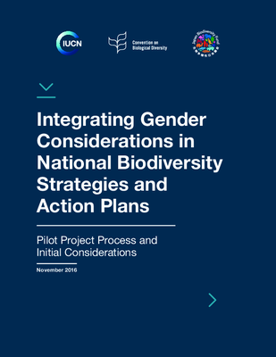 Integrating Gender in National Biodiversity Strategies and Action Plans: Pilot Project Process and Initial Considerations