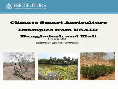 Climate Smart Agriculture Examples from USAID Bangladesh and Mali - Dr. David Yanggen, USAID/Mali