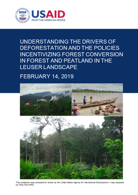 Understanding the Drivers of Deforestation and the Policies Incentivizing Forest Conversion in Forest and Peatland in the Leuser Landscape