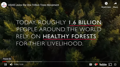 USAID Joins the One Trillion Trees Movement