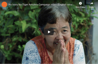 No Ivory, No Tiger Amulets Campaign Video