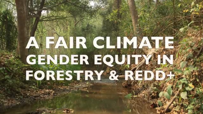 A Fair Climate: Gender Equity in REDD+