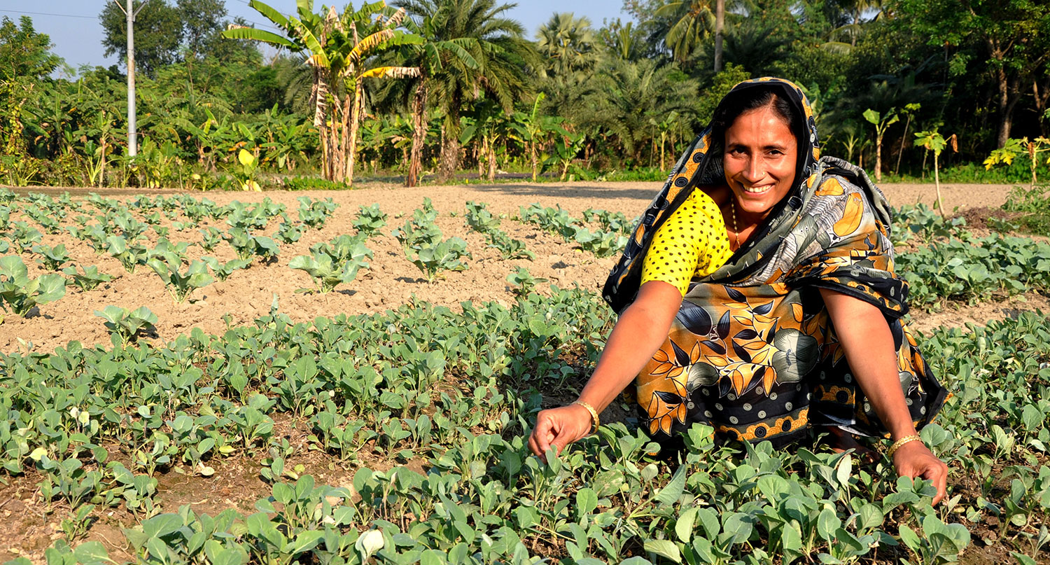 Bangladesh woman farmer