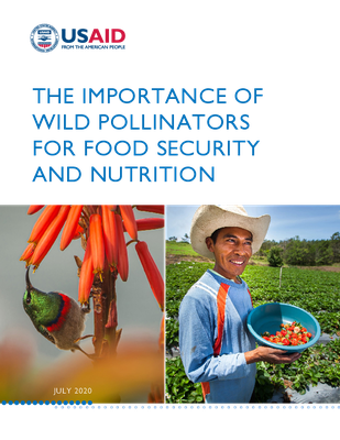 The Importance of Wild Pollinators for Food Security and Nutrition