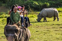 Elephant Safari