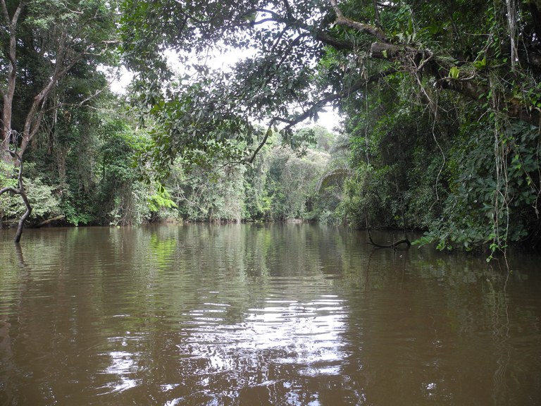 One of the rivers running through the Sapo forest in Liberia